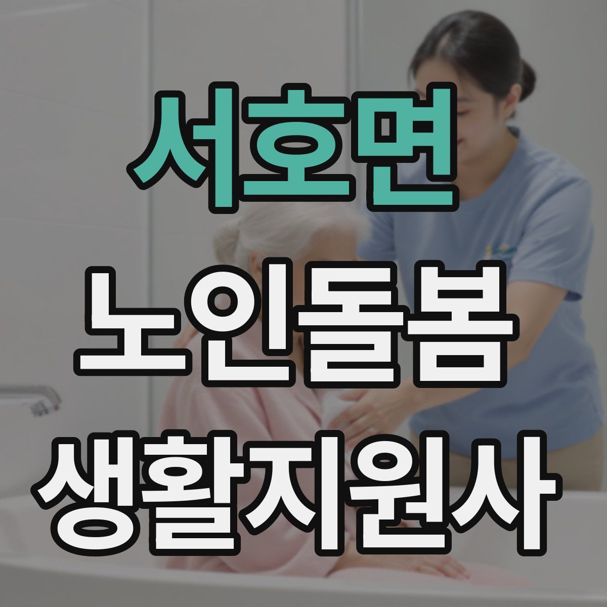 서호면 노인돌봄생활지원사 자격증