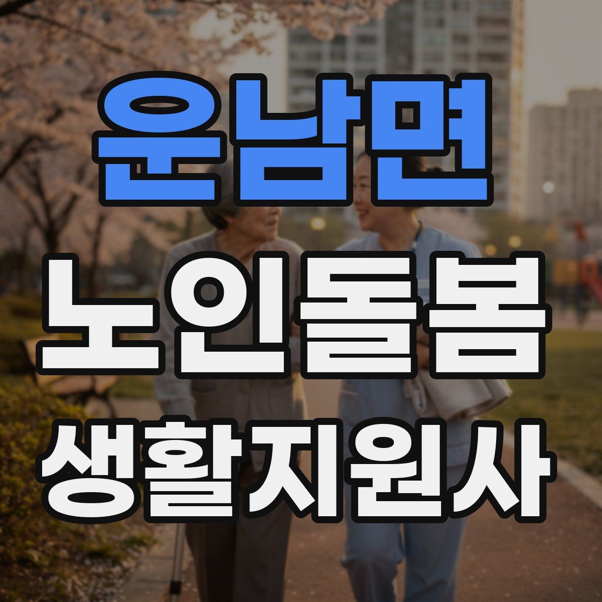 운남면 노인돌봄생활지원사 자격증