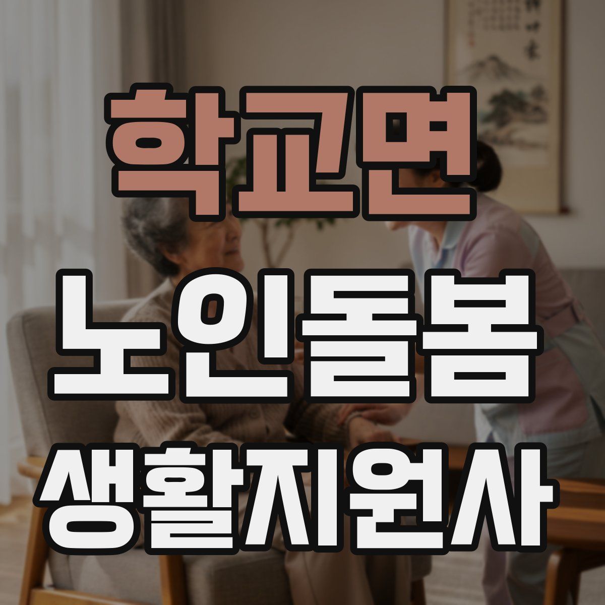 학교면 노인돌봄생활지원사 자격증