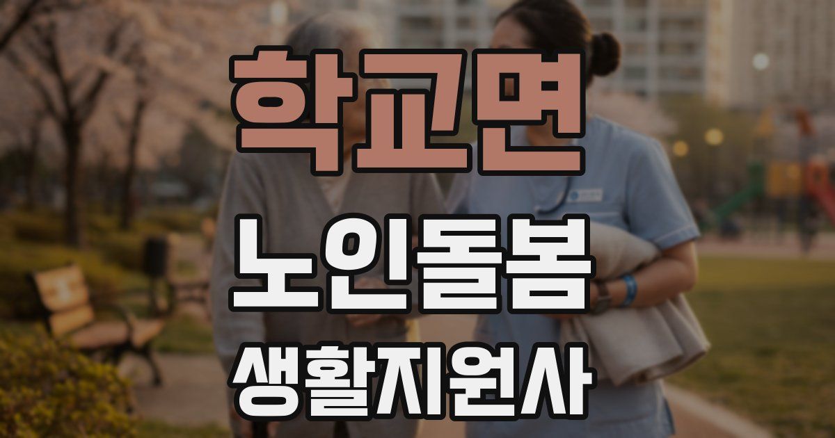 학교면 노인돌봄생활지원사 자격증