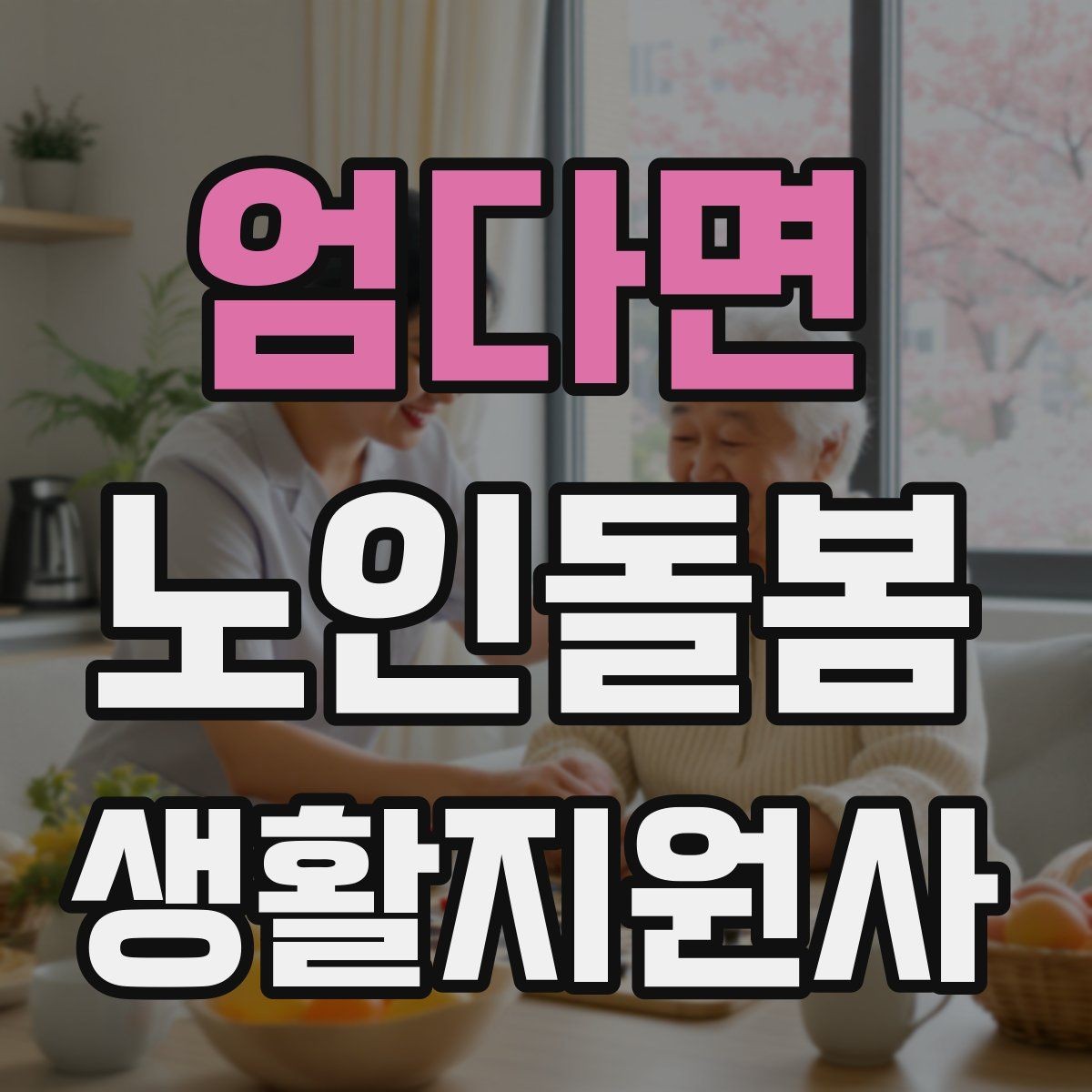 엄다면 노인돌봄생활지원사 자격증 자주 나오는 핵심 개념 먼저 잡기