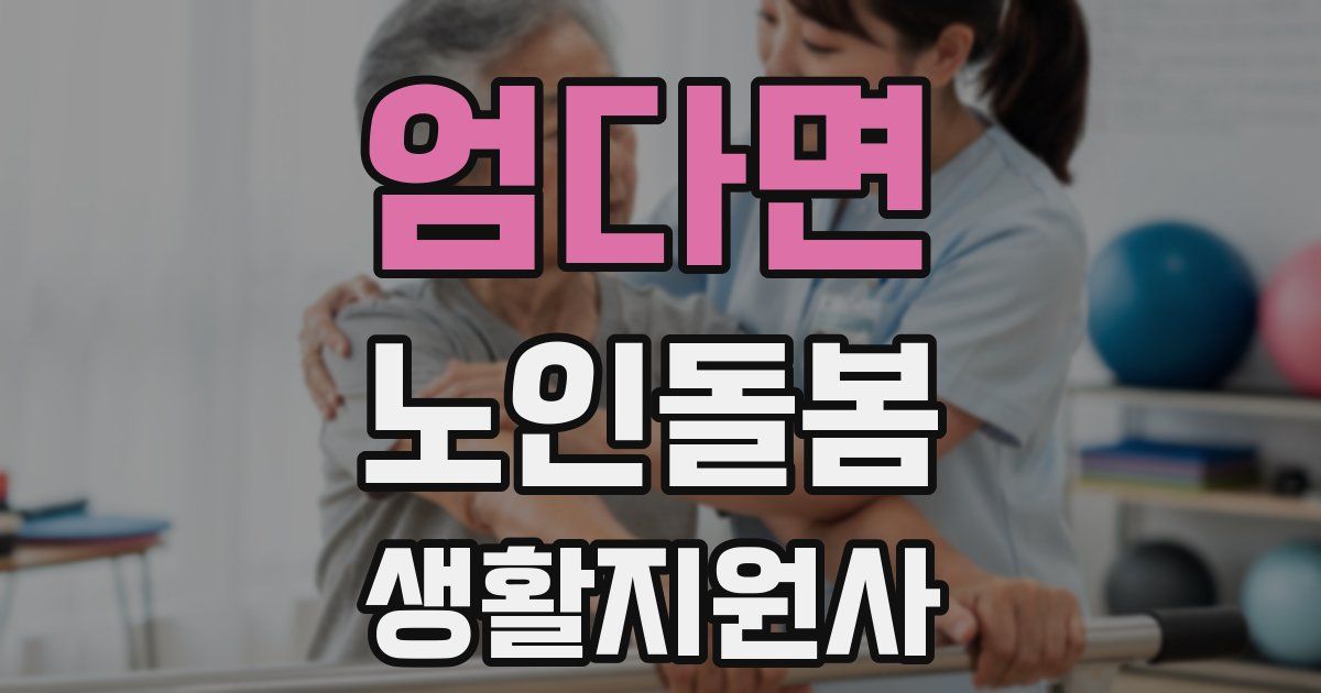 엄다면 노인돌봄생활지원사 자격증