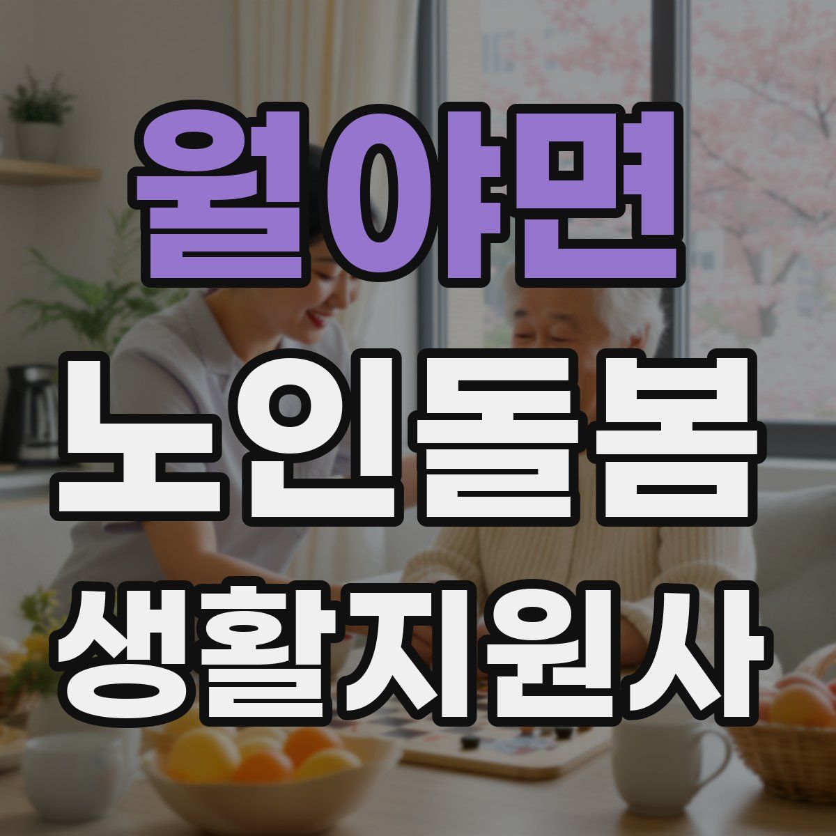 월야면 노인돌봄생활지원사 자격증