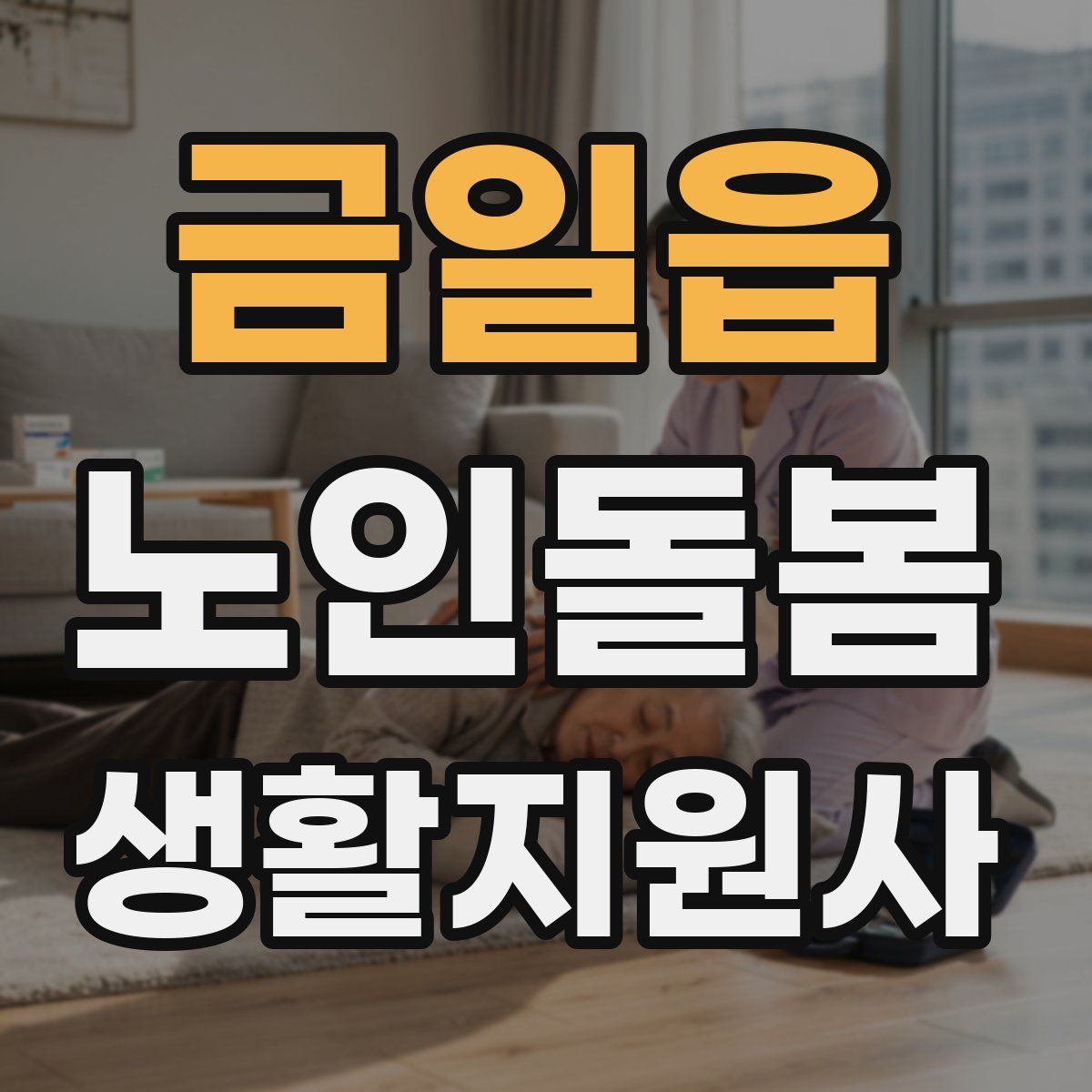 금일읍 노인돌봄생활지원사 자격증