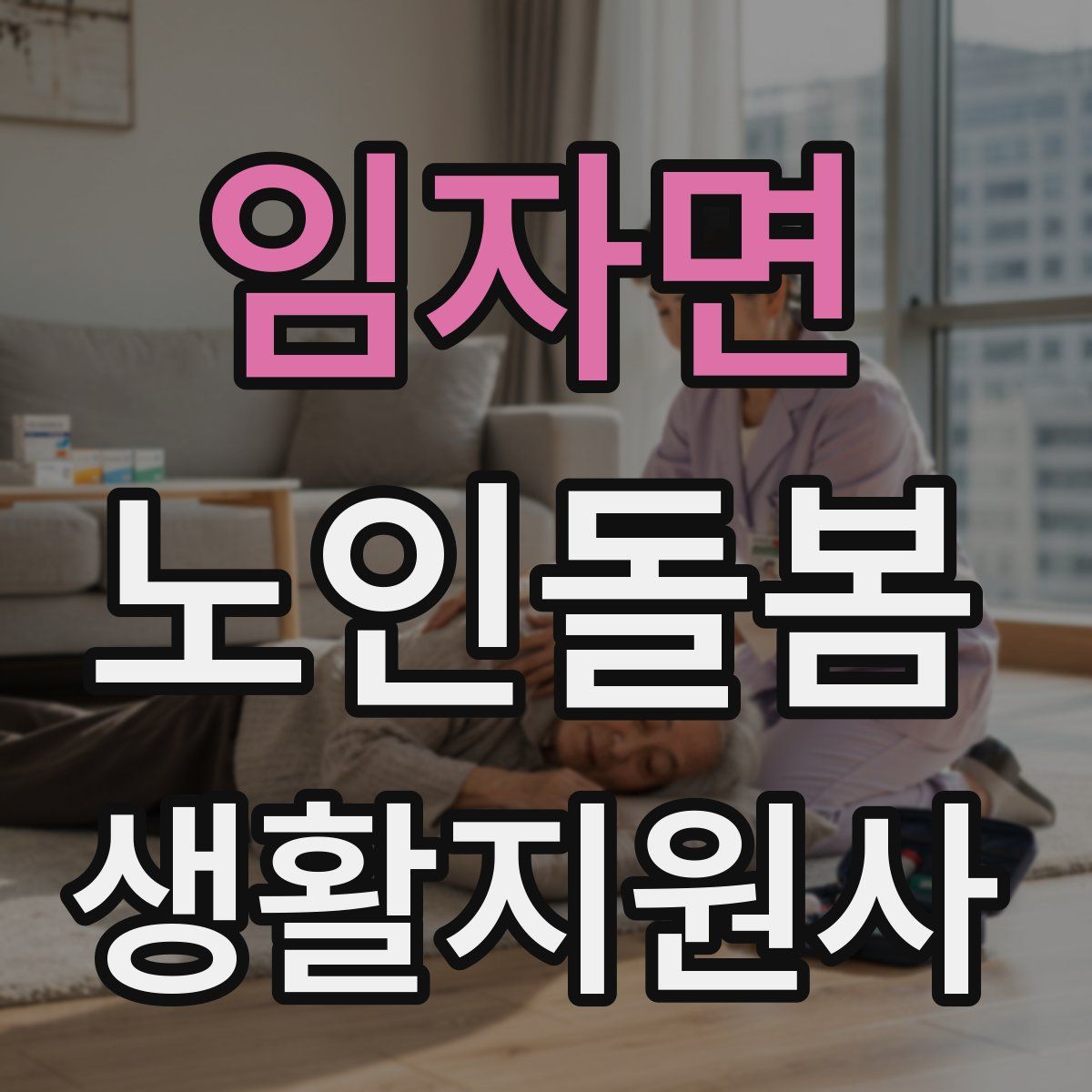임자면 노인돌봄생활지원사 자격증