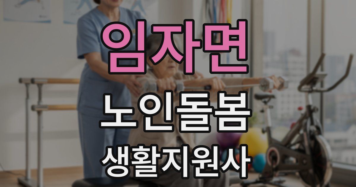 임자면 노인돌봄생활지원사 자격증