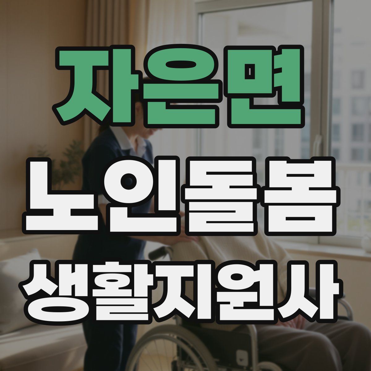 자은면 노인돌봄생활지원사 자격증