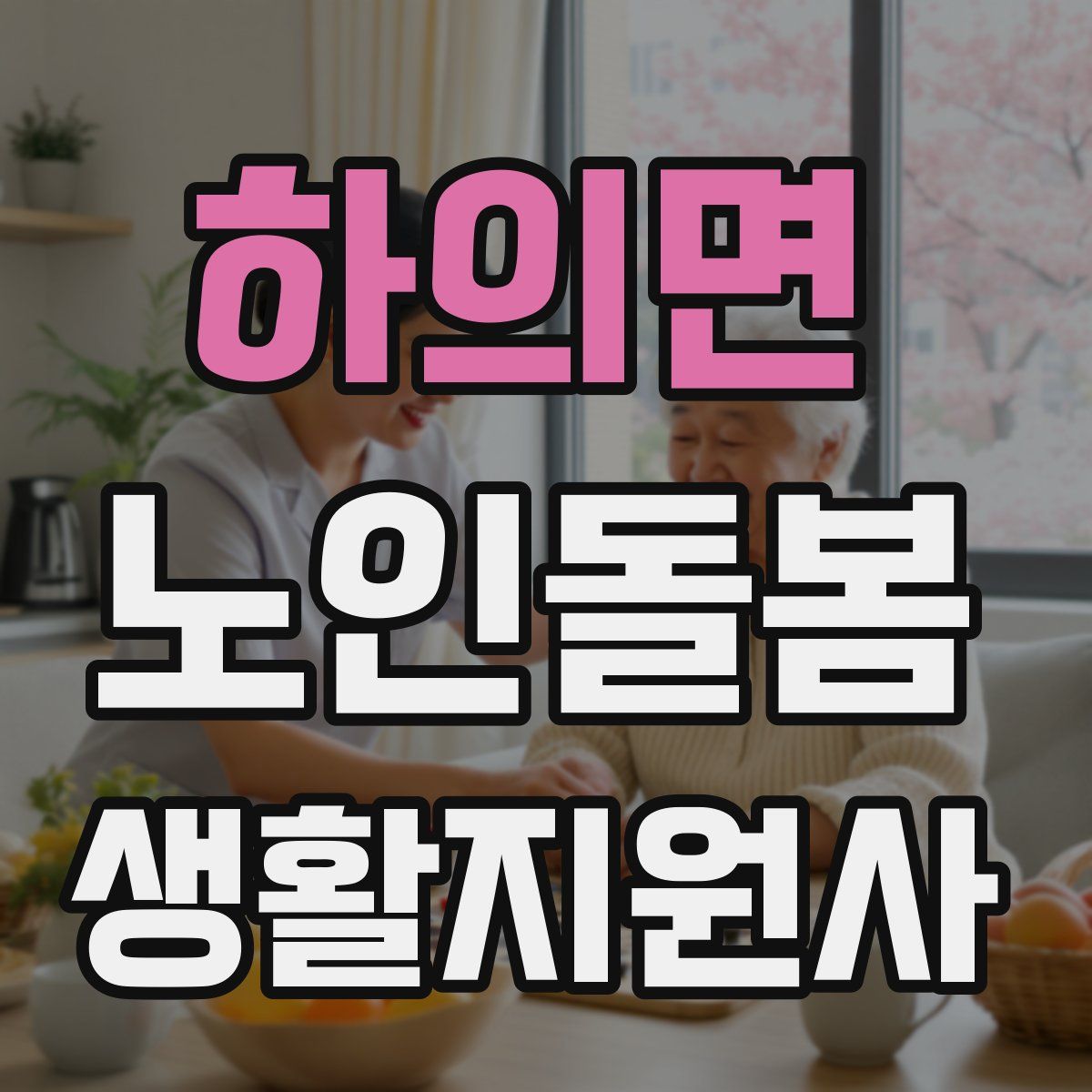 하의면 노인돌봄생활지원사 자격증