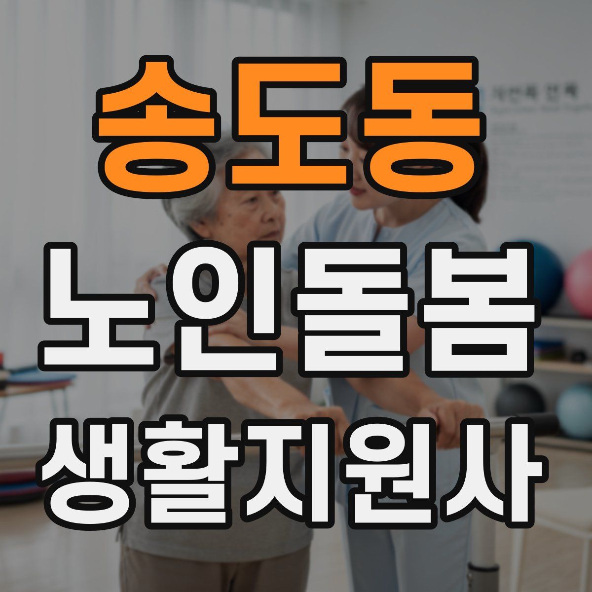 송도동 노인돌봄생활지원사 자격증