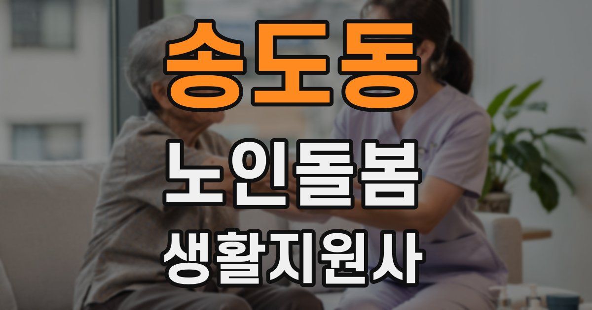 송도동 노인돌봄생활지원사 자격증