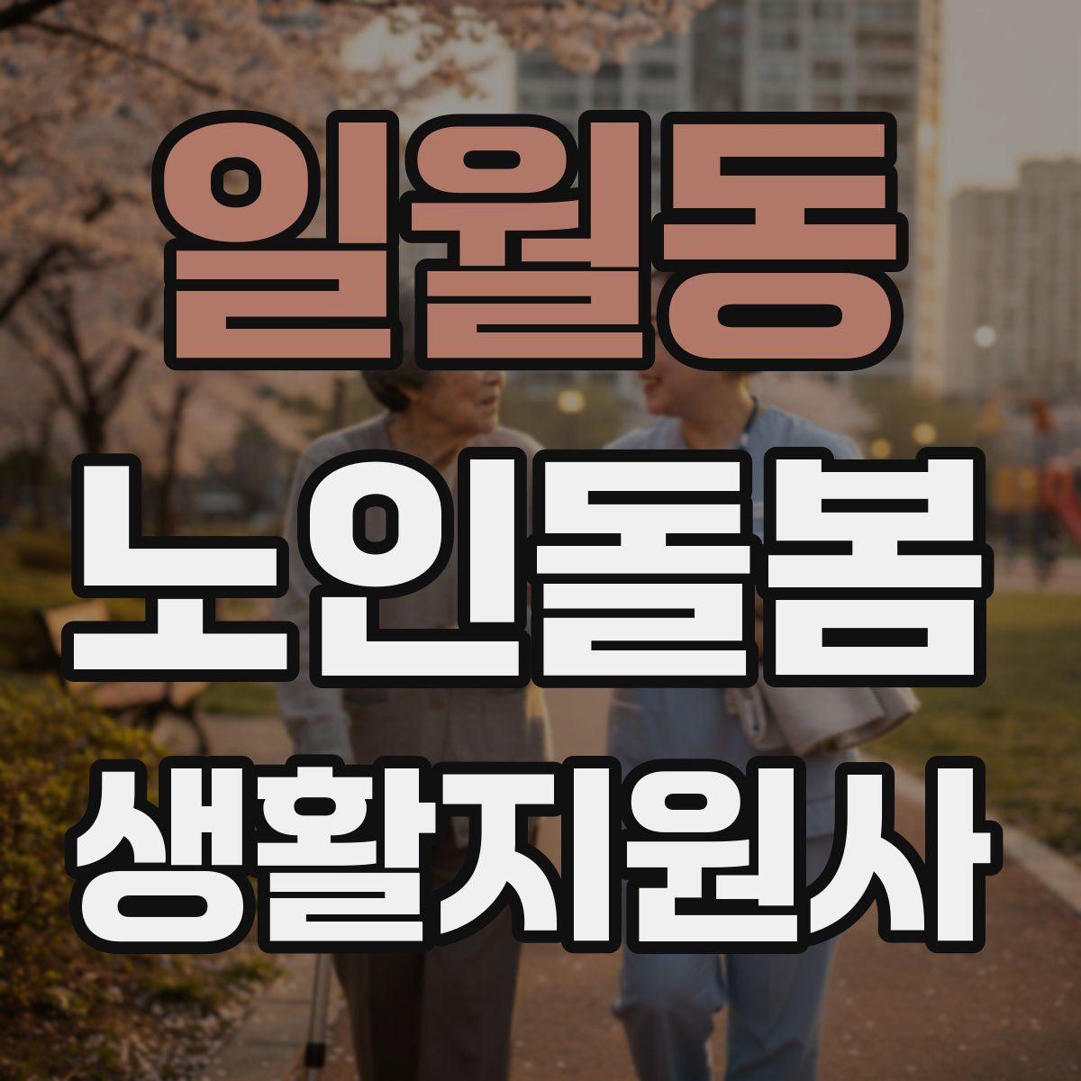 일월동 노인돌봄생활지원사 자격증
