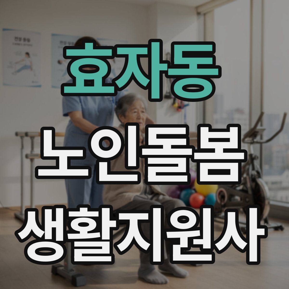 효자동 노인돌봄생활지원사 자격증