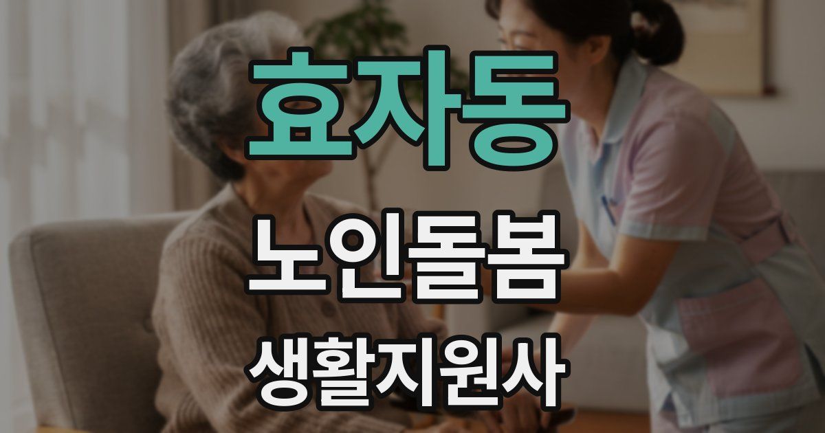 효자동 노인돌봄생활지원사 자격증