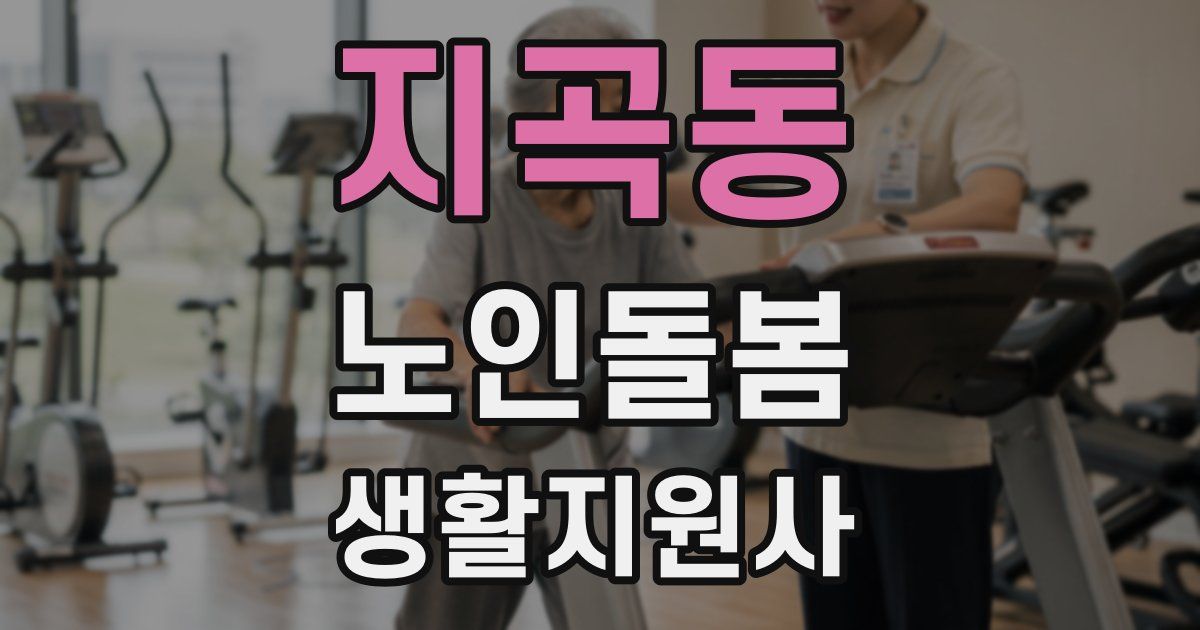 지곡동 노인돌봄생활지원사 자격증