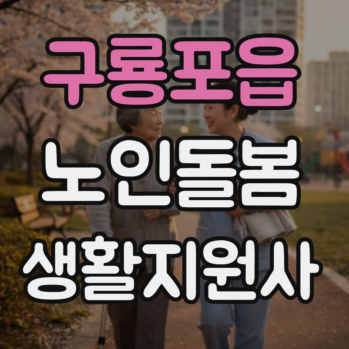 구룡포읍 노인돌봄생활지원사 자격증