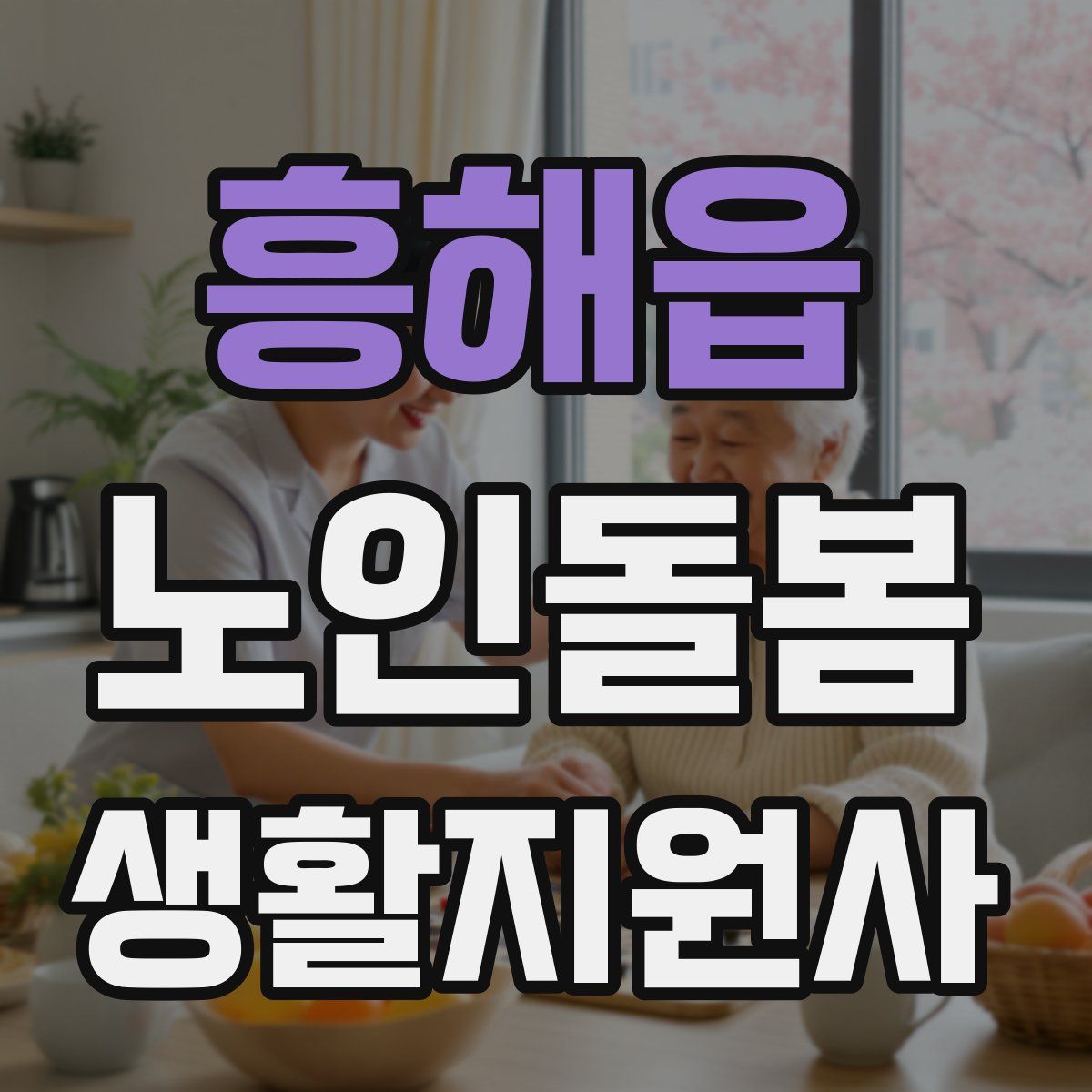 흥해읍 노인돌봄생활지원사 자격증
