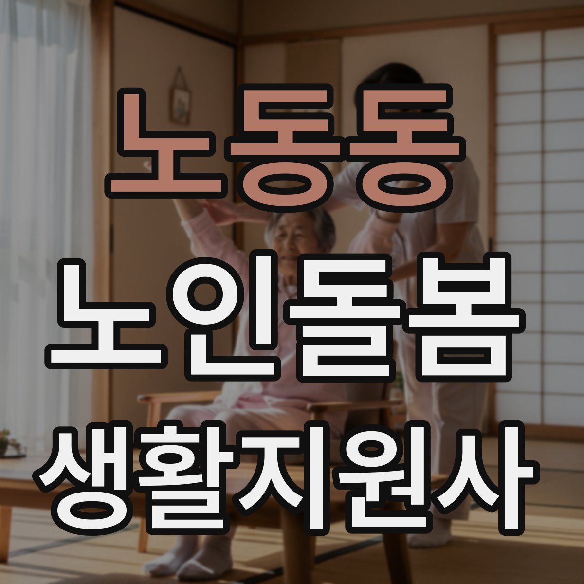 노동동 노인돌봄생활지원사 자격증