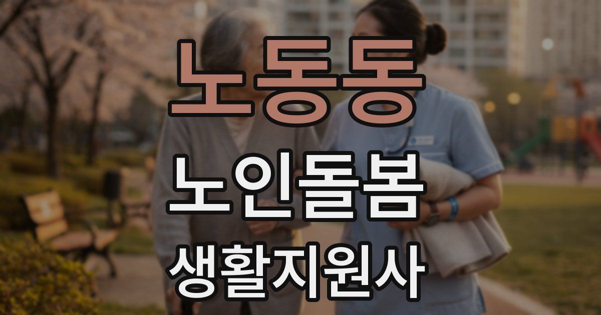노동동 노인돌봄생활지원사 자격증