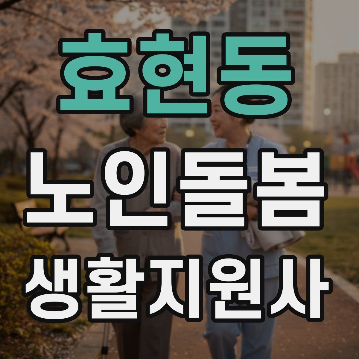 효현동 노인돌봄생활지원사 자격증
