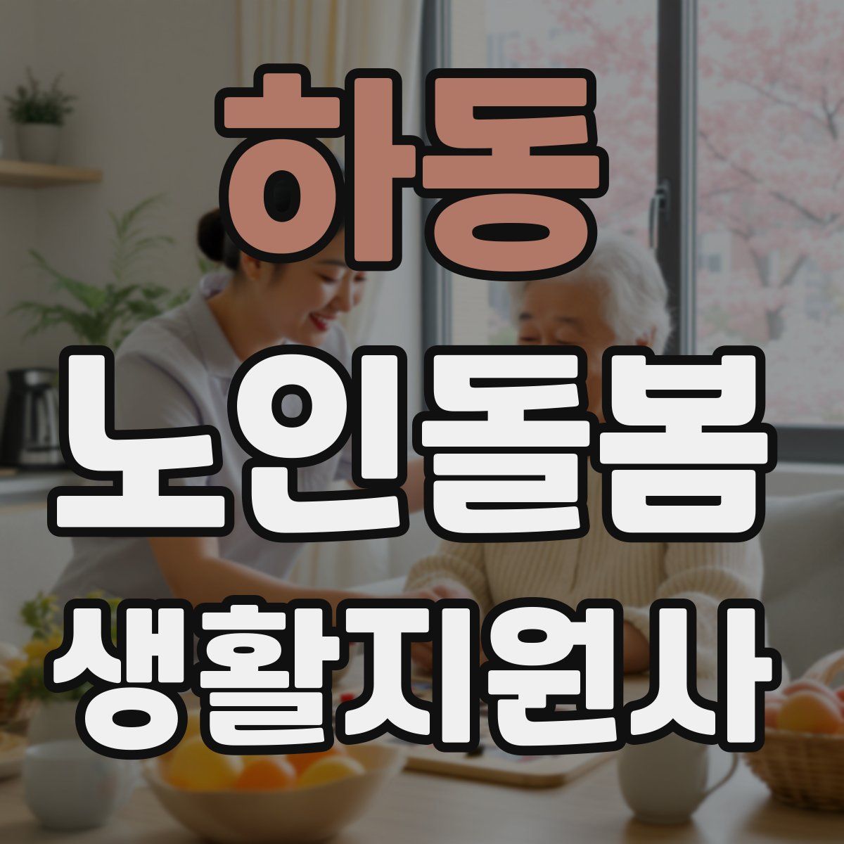 하동 노인돌봄생활지원사 자격증