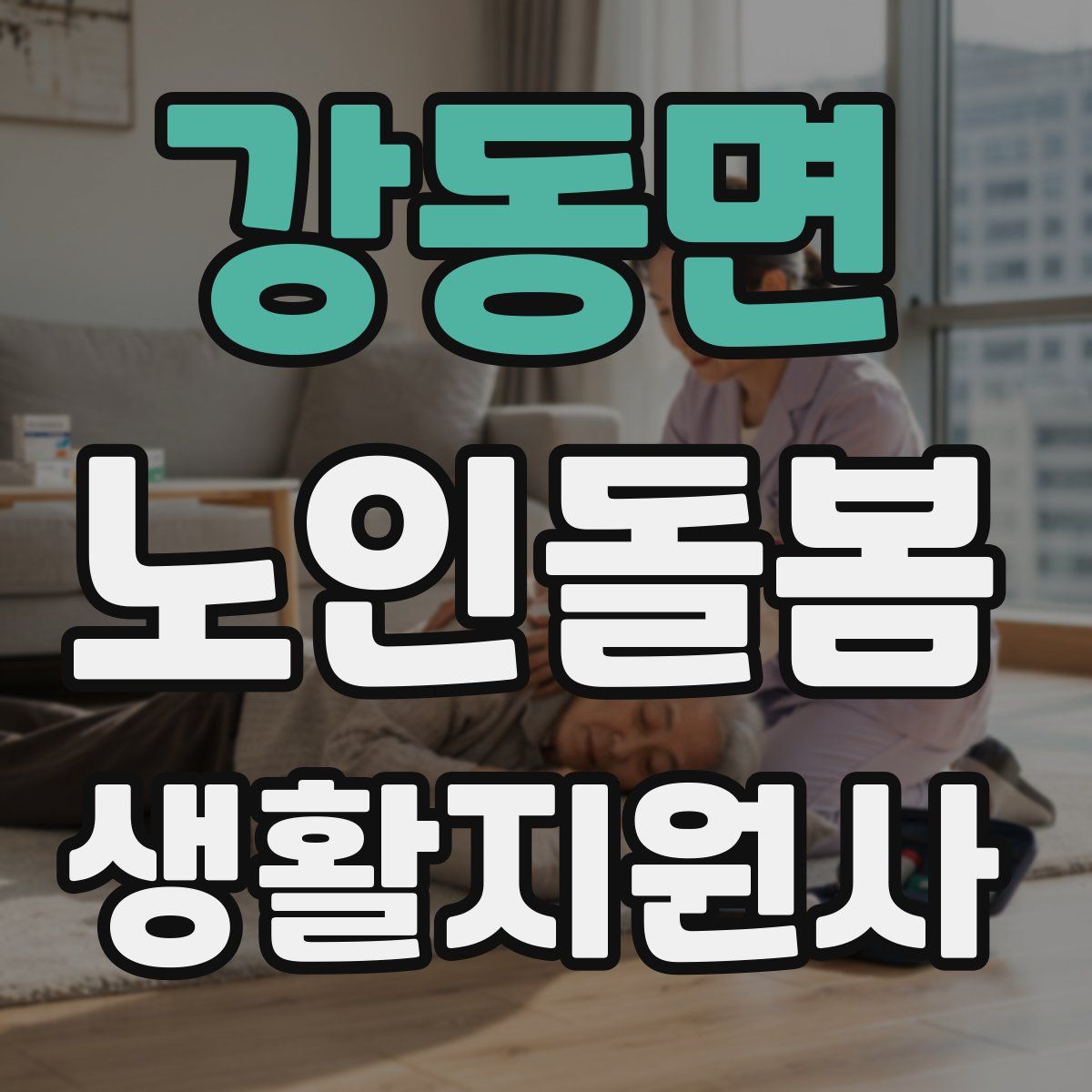 강동면 노인돌봄생활지원사 자격증
