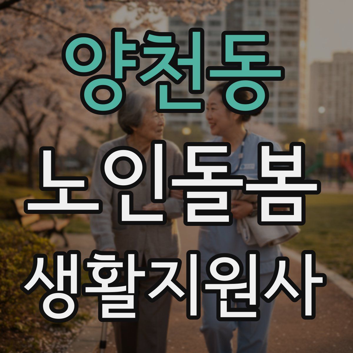 양천동 노인돌봄생활지원사 자격증