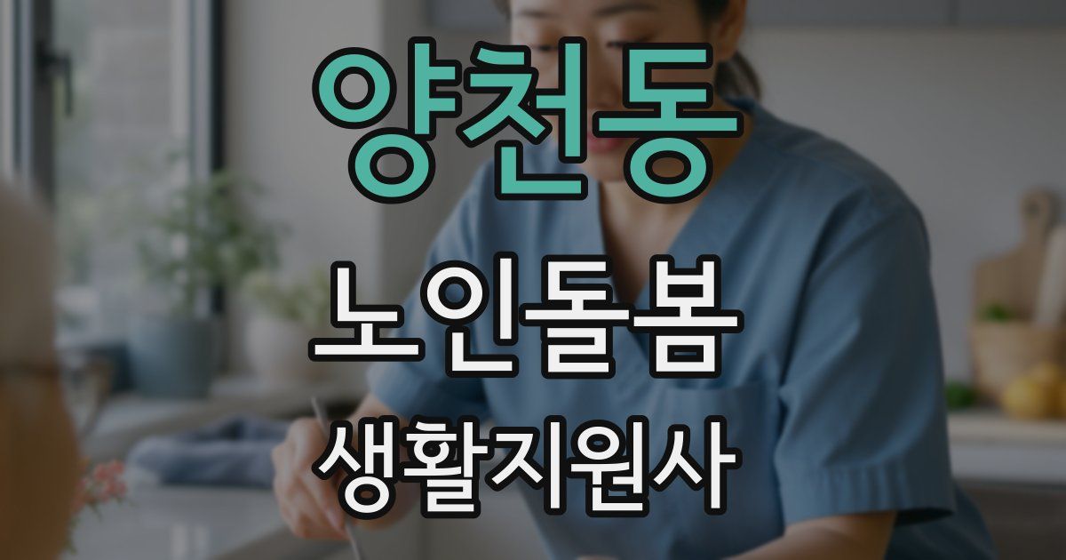 양천동 노인돌봄생활지원사 자격증