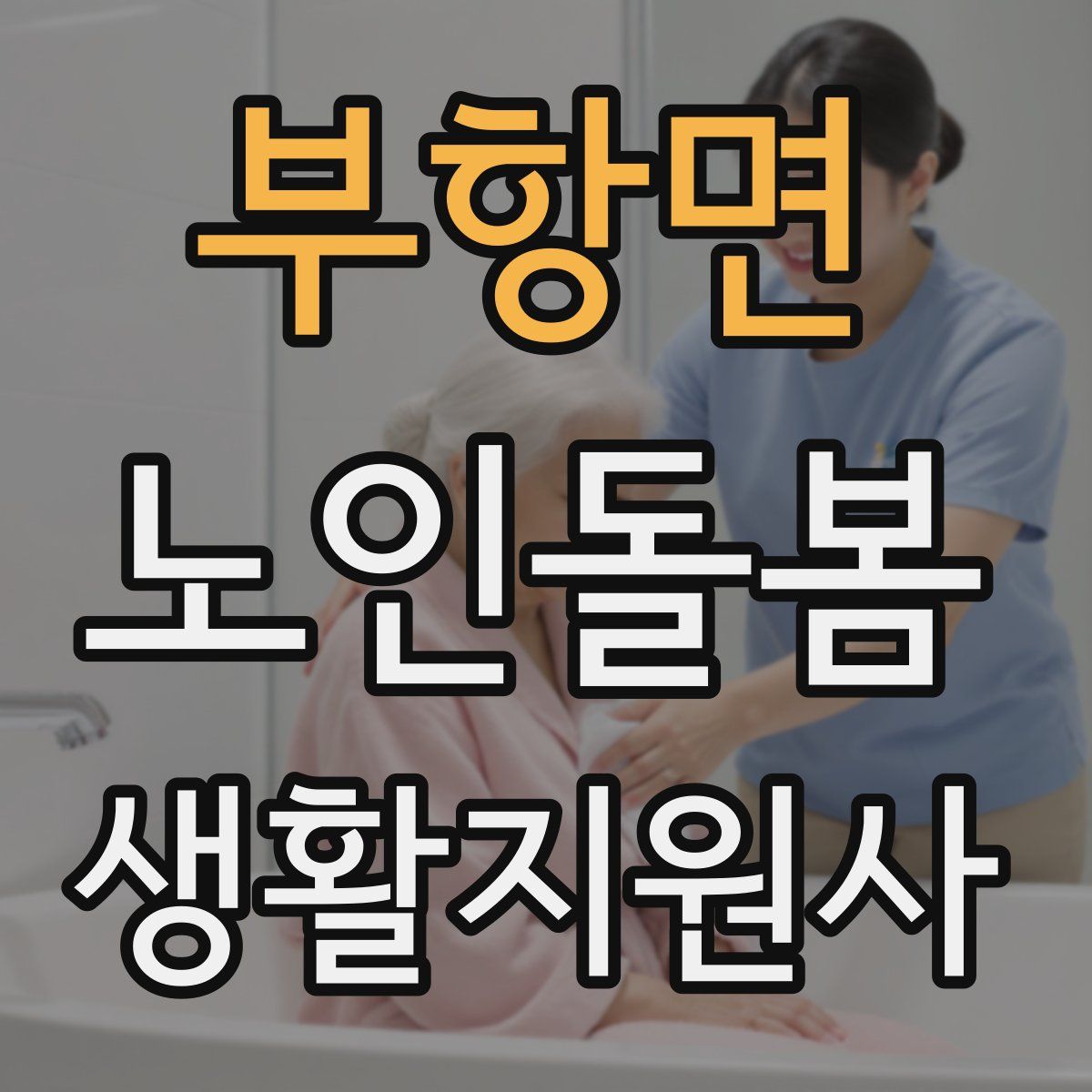 부항면 노인돌봄생활지원사 자격증
