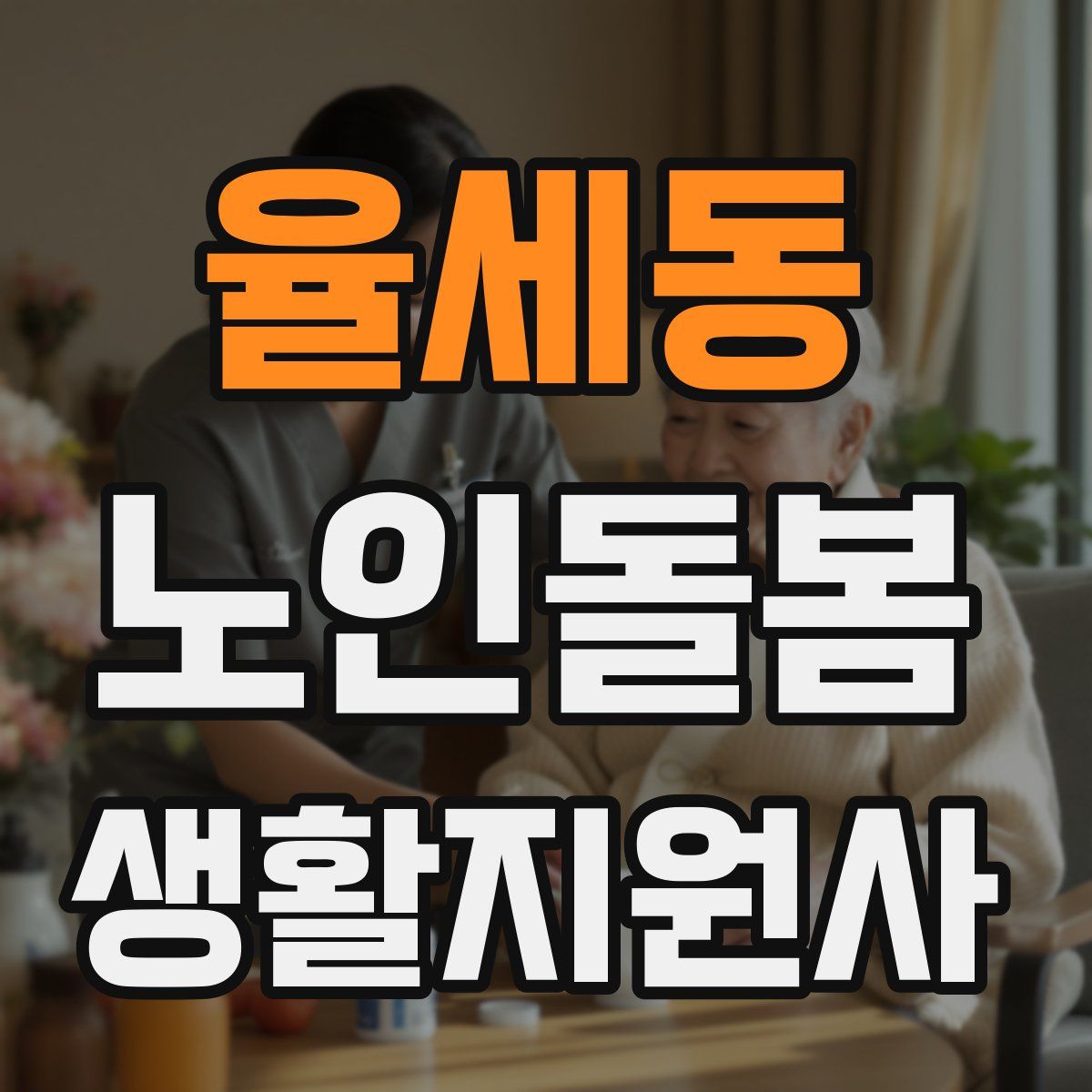율세동 노인돌봄생활지원사 자격증