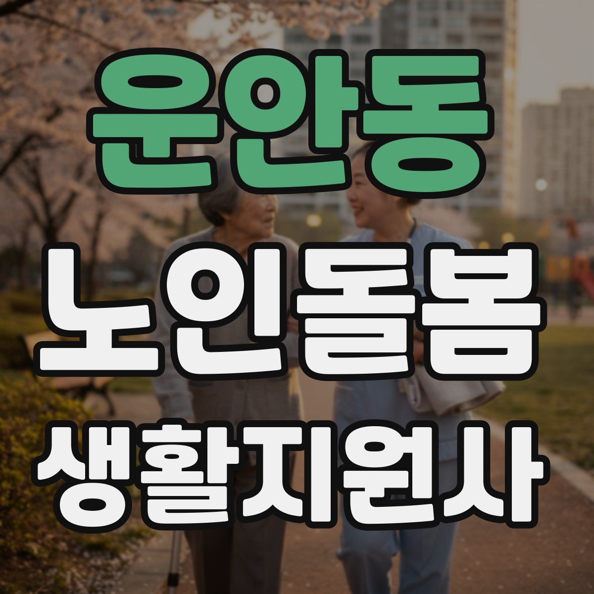 운안동 노인돌봄생활지원사 자격증