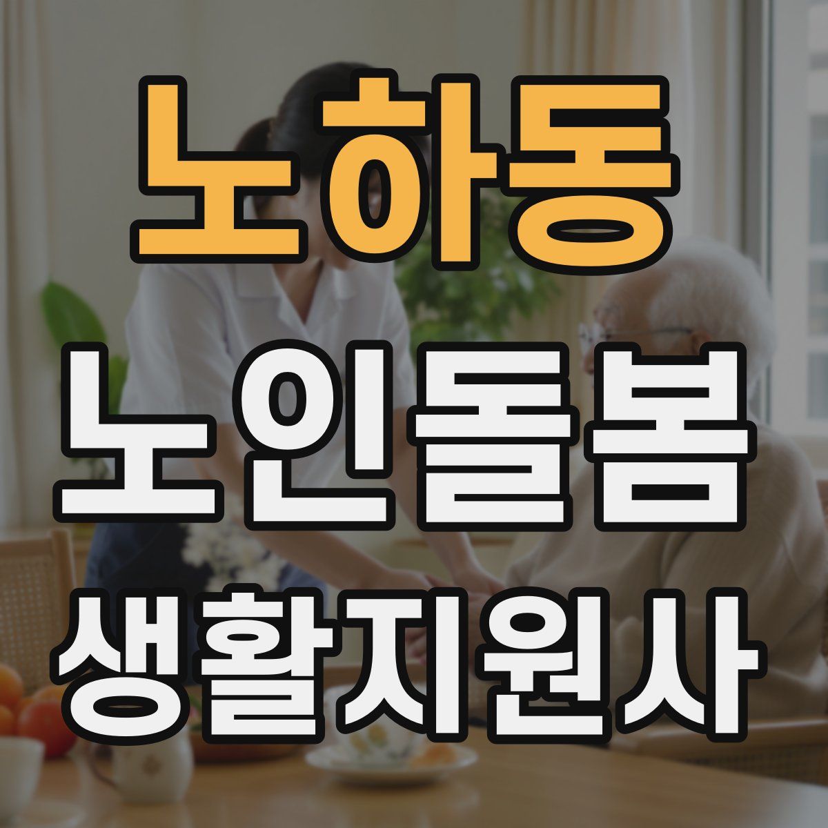 노하동 노인돌봄생활지원사 자격증