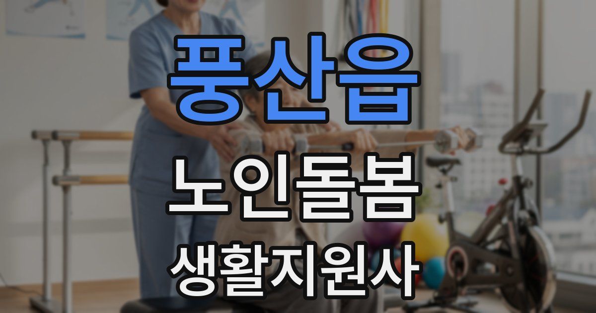 풍산읍 노인돌봄생활지원사 자격증