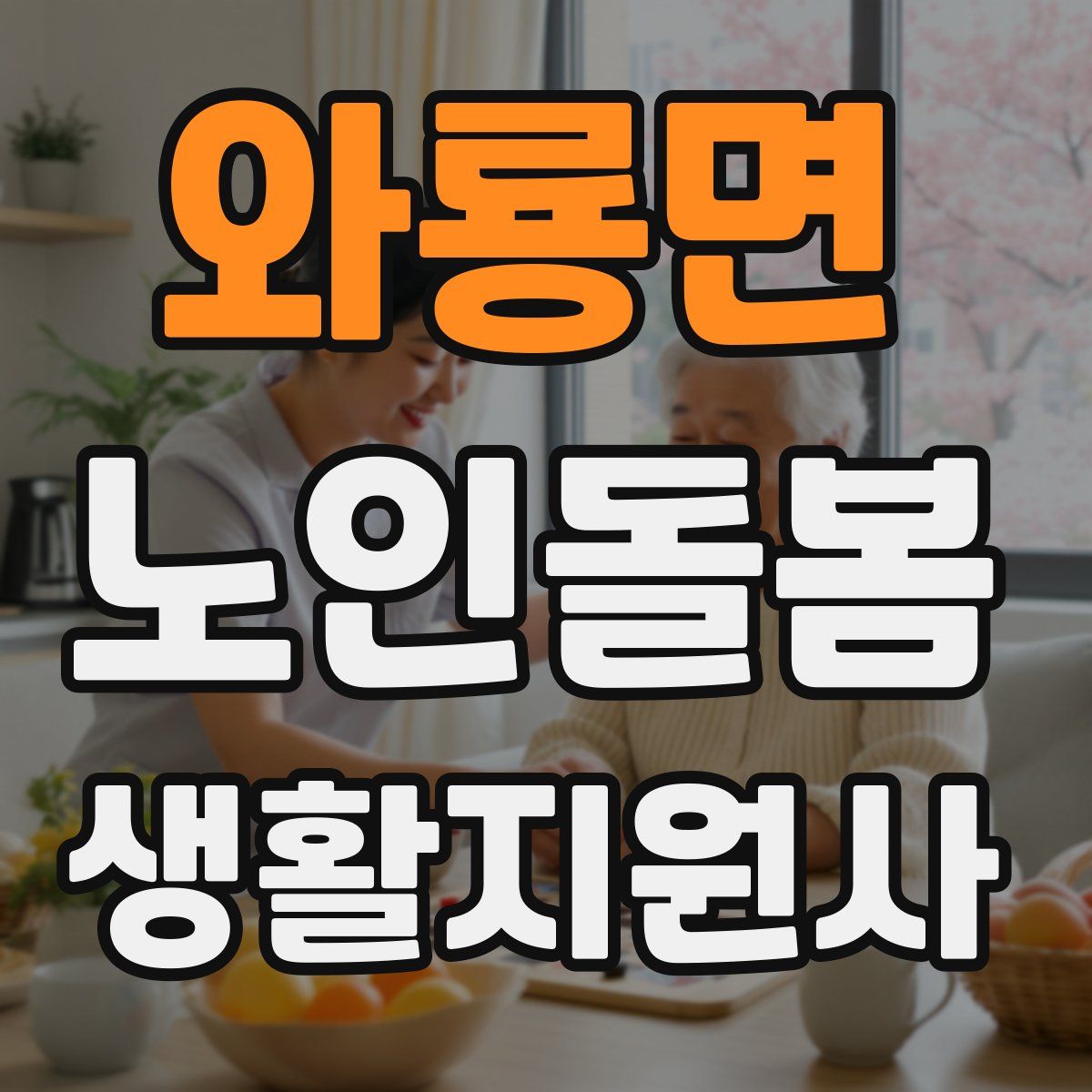 와룡면 노인돌봄생활지원사 자격증