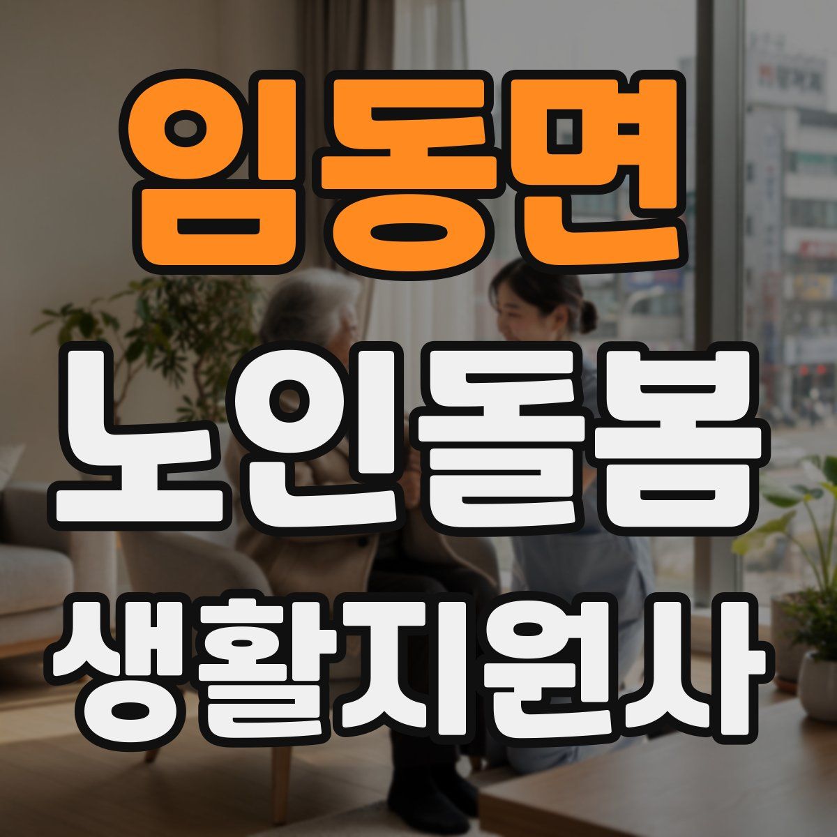 임동면 노인돌봄생활지원사 자격증