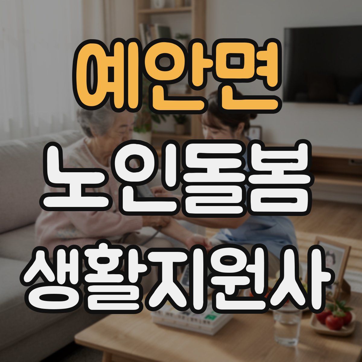 예안면 노인돌봄생활지원사 자격증