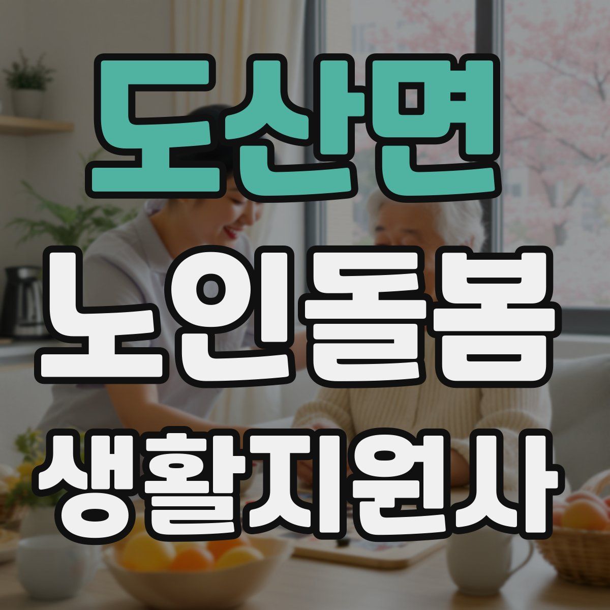 도산면 노인돌봄생활지원사 자격증