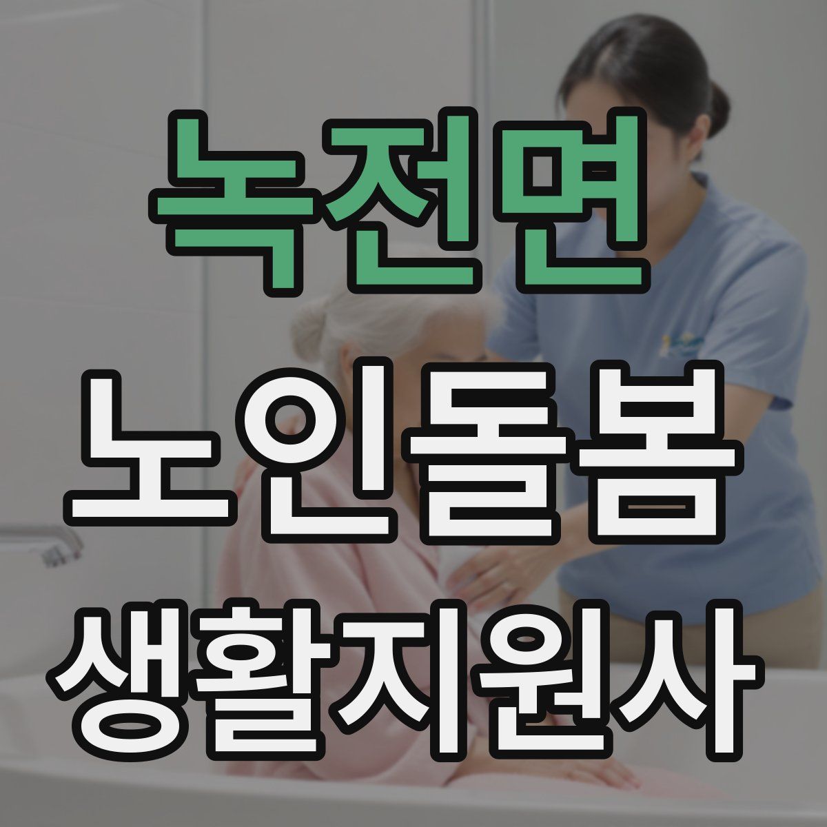 녹전면 노인돌봄생활지원사 자격증