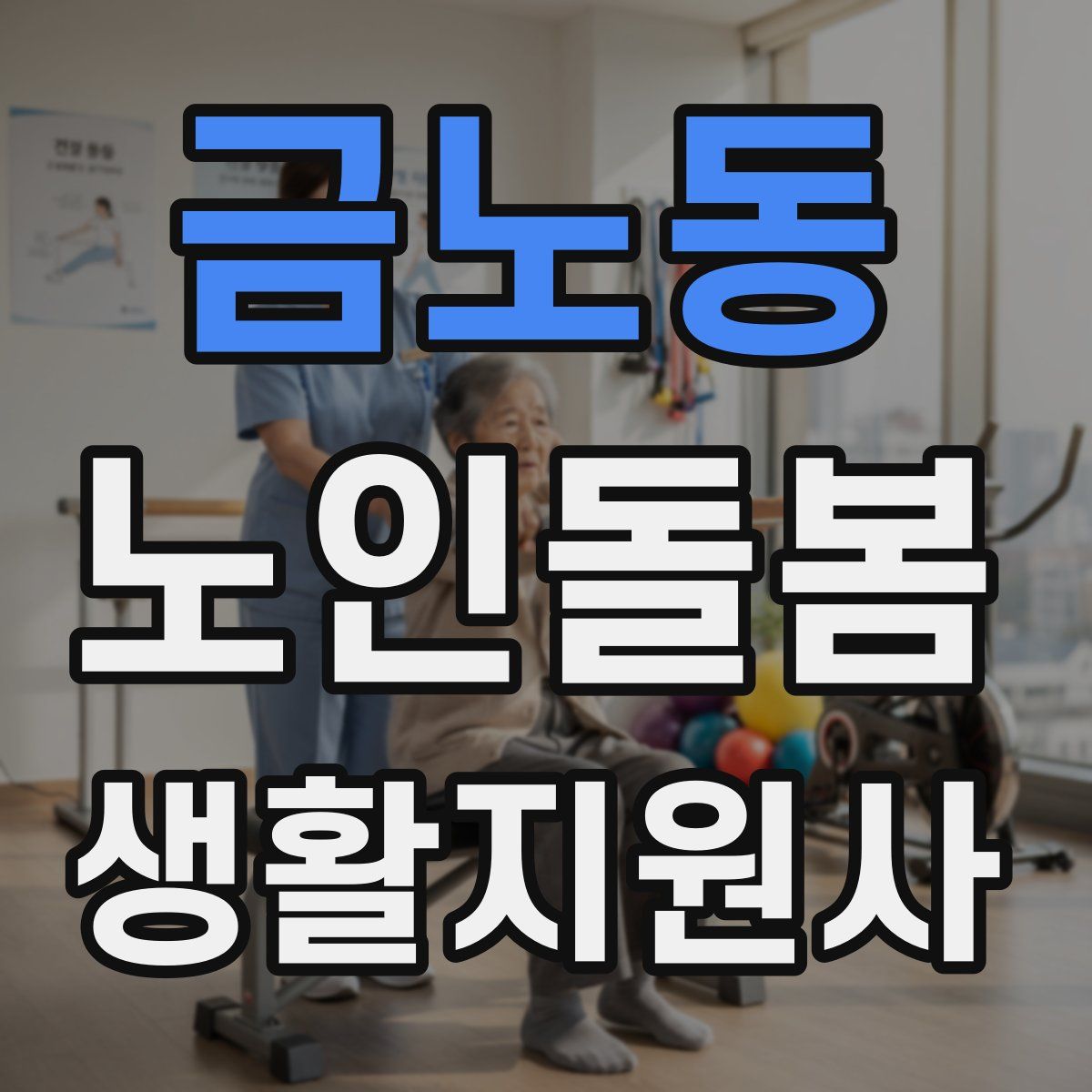 금노동 노인돌봄생활지원사 자격증