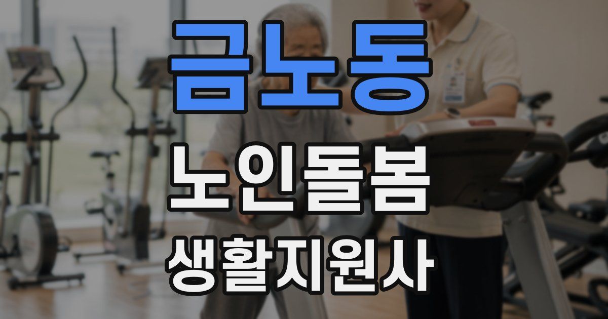 금노동 노인돌봄생활지원사 자격증