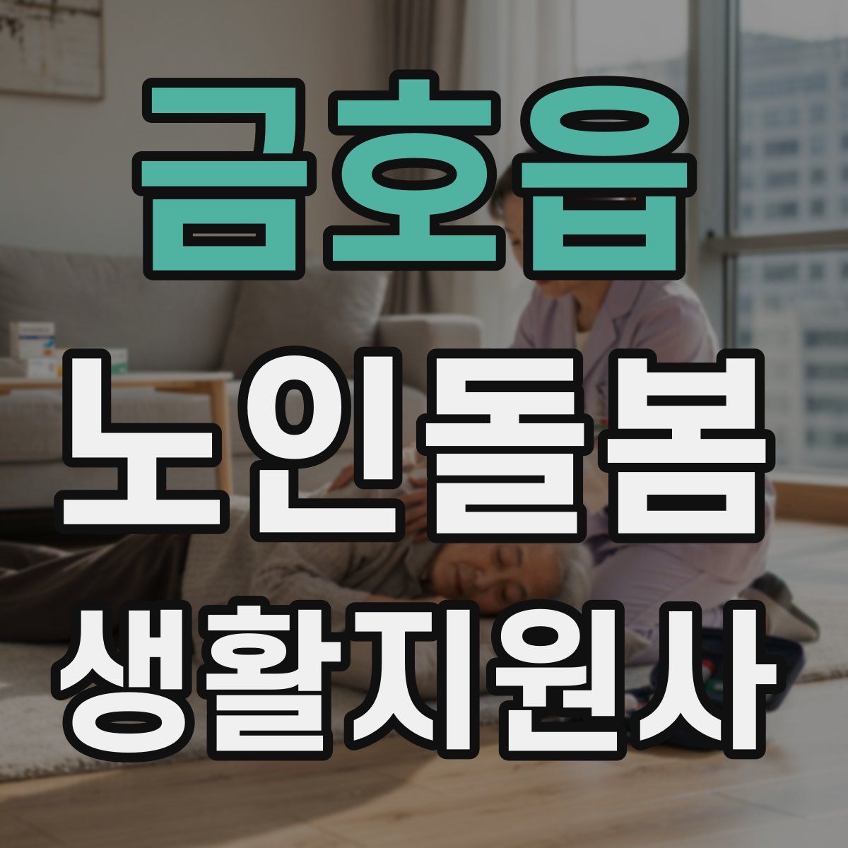 금호읍 노인돌봄생활지원사 자격증