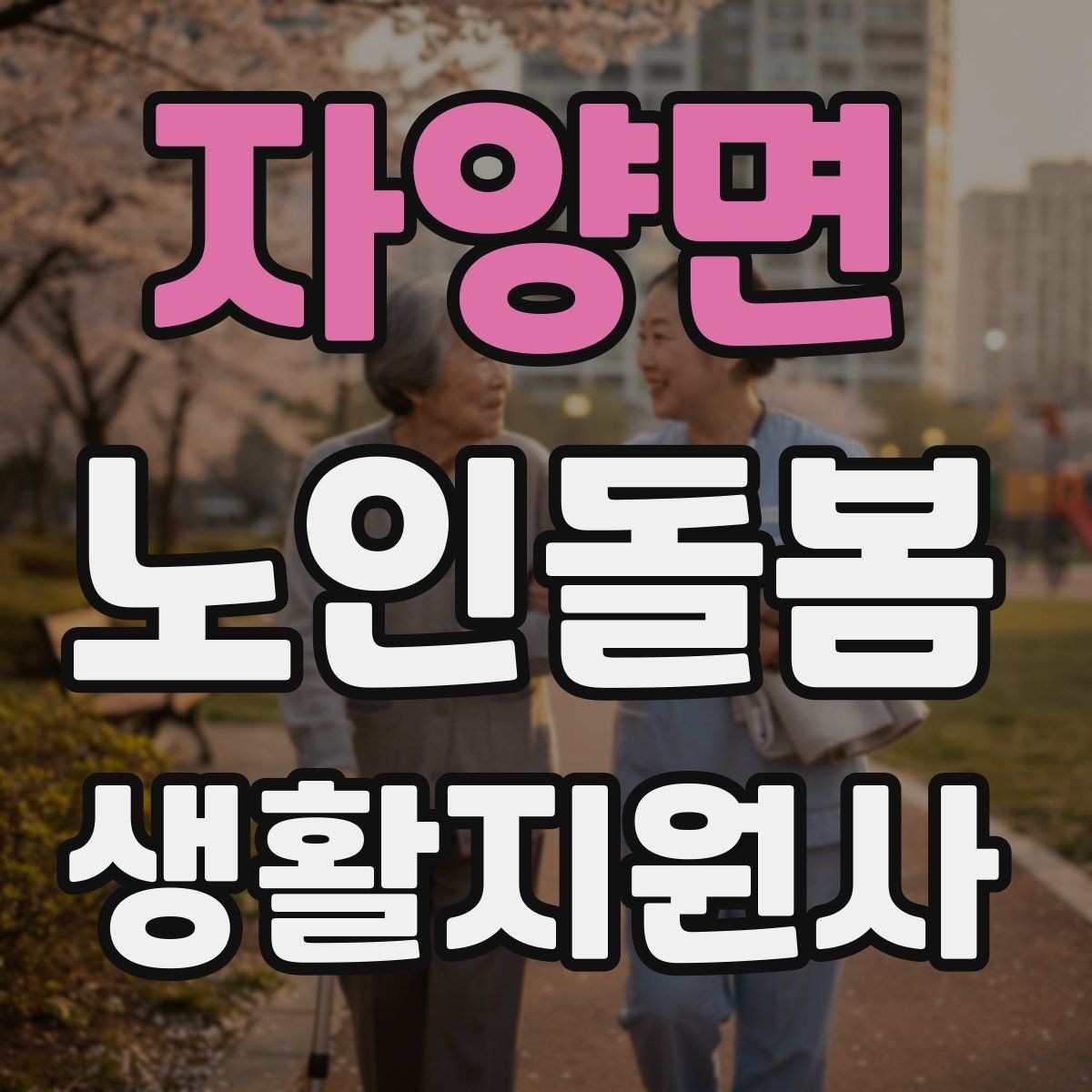 자양면 노인돌봄생활지원사 자격증 용어 정리로 공부 효율 높이는 법