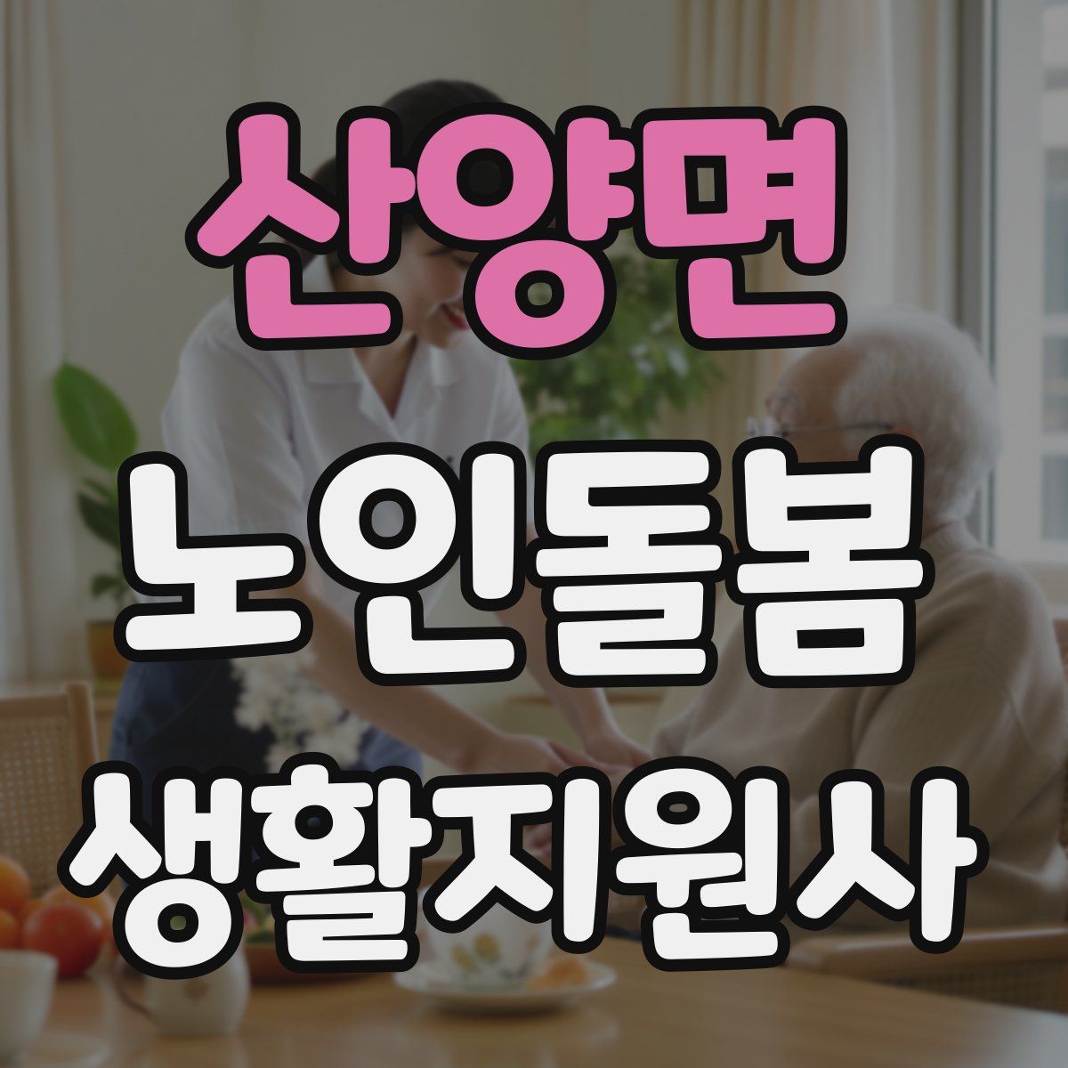 산양면 노인돌봄생활지원사 자격증
