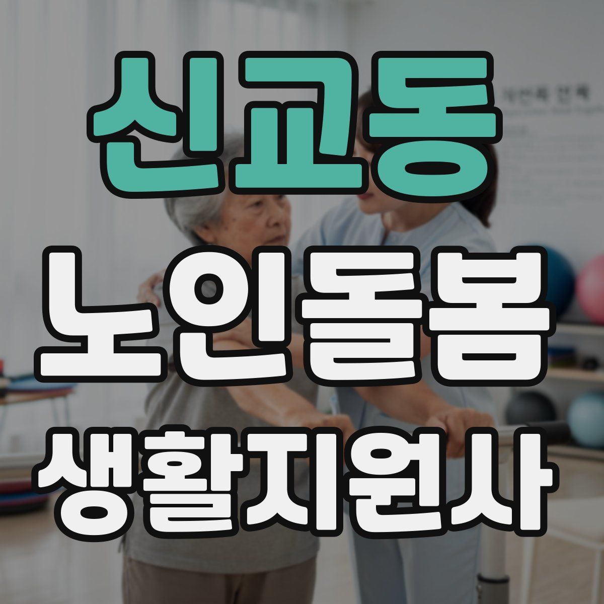 신교동 노인돌봄생활지원사 자격증