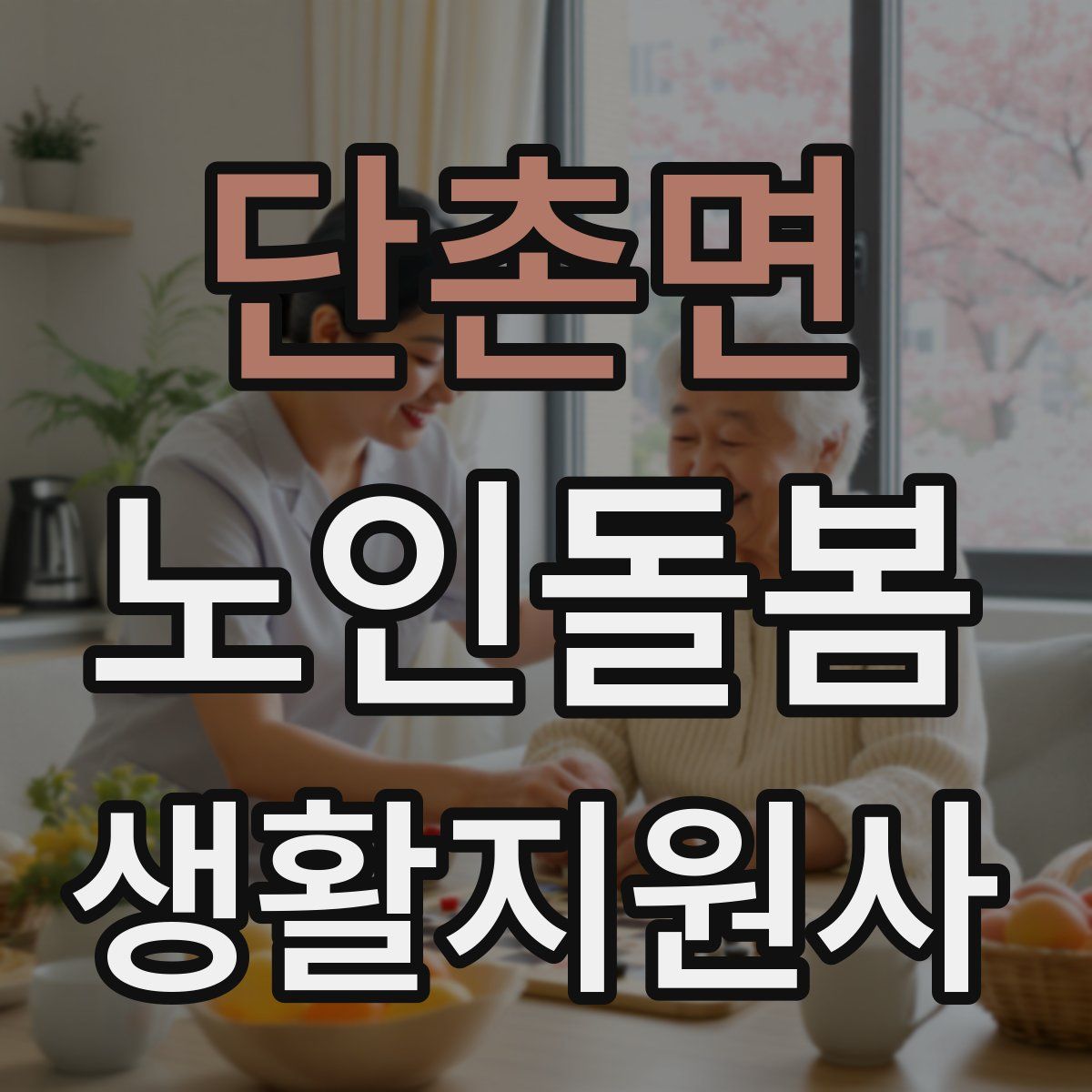 단촌면 노인돌봄생활지원사 자격증