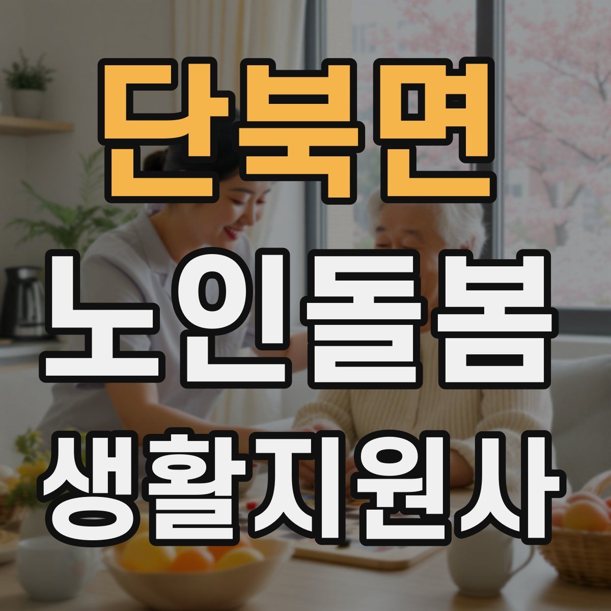 단북면 노인돌봄생활지원사 자격증