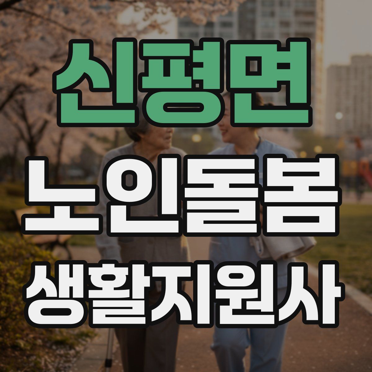 신평면 노인돌봄생활지원사 자격증