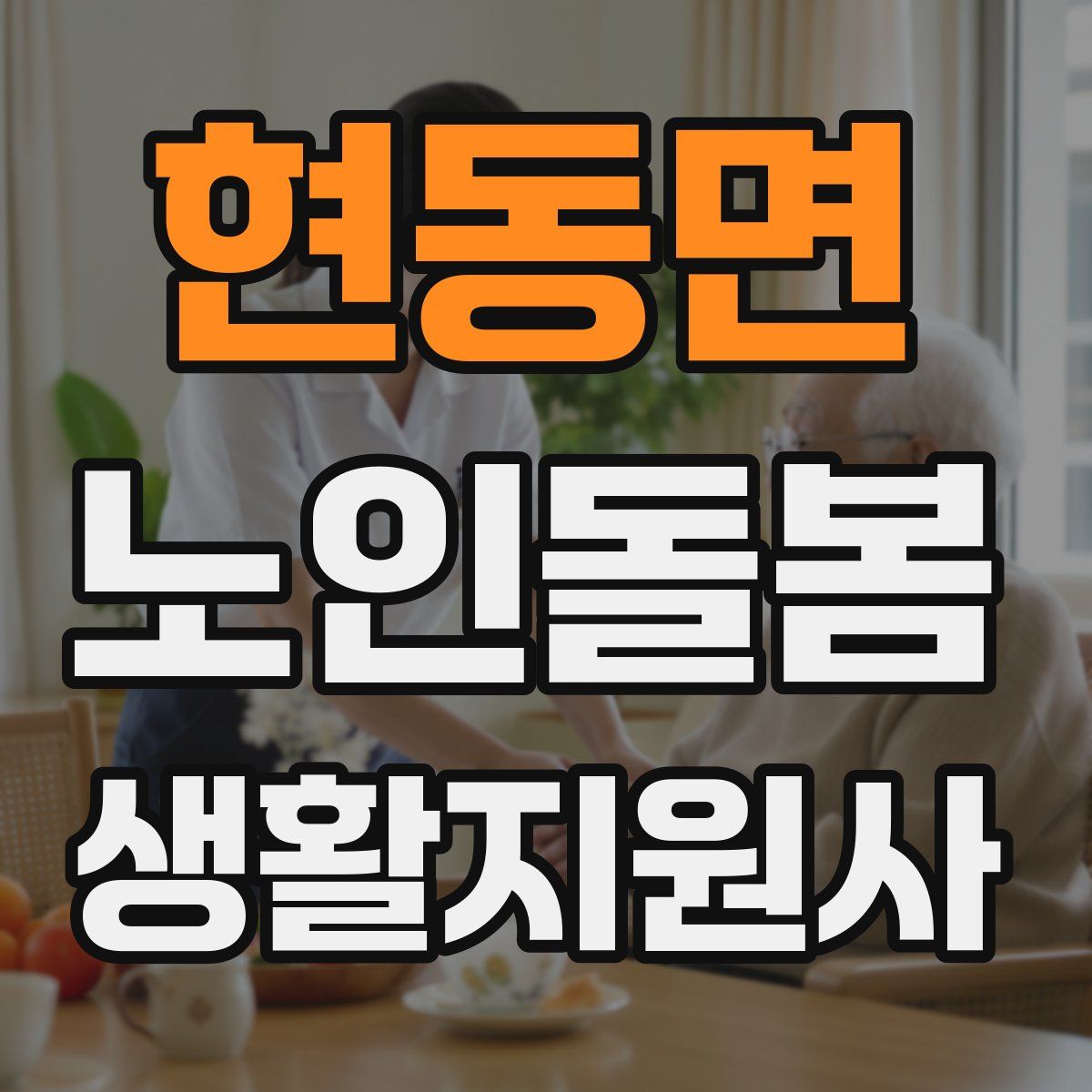현동면 노인돌봄생활지원사 자격증