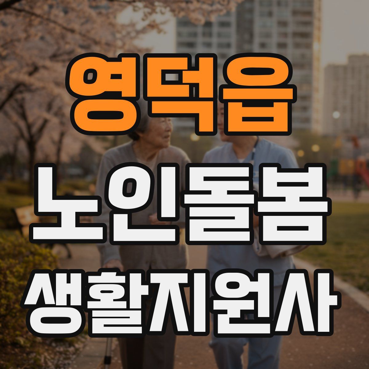영덕읍 노인돌봄생활지원사 자격증