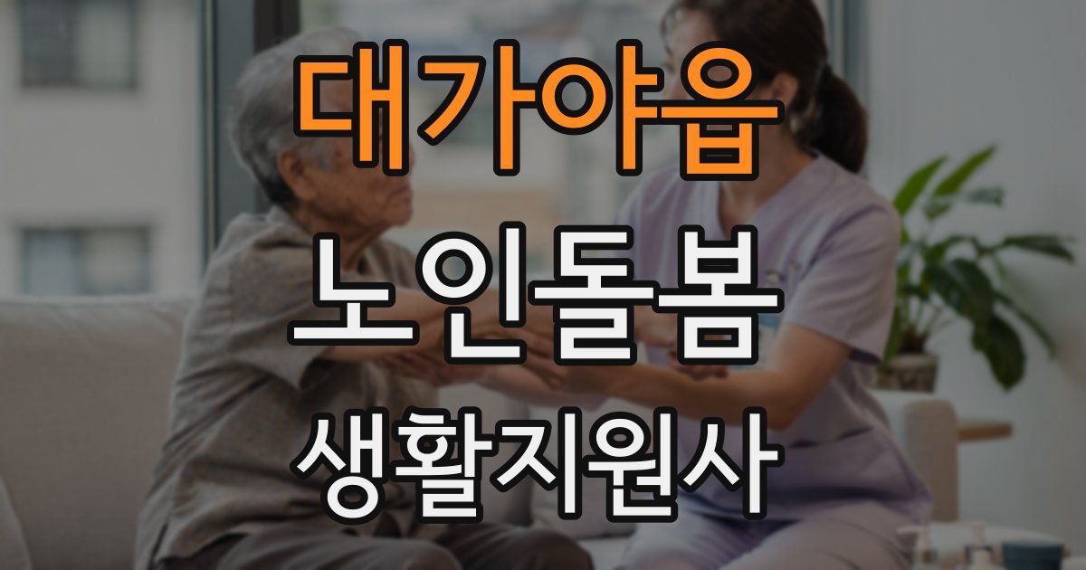 대가야읍 노인돌봄생활지원사 자격증