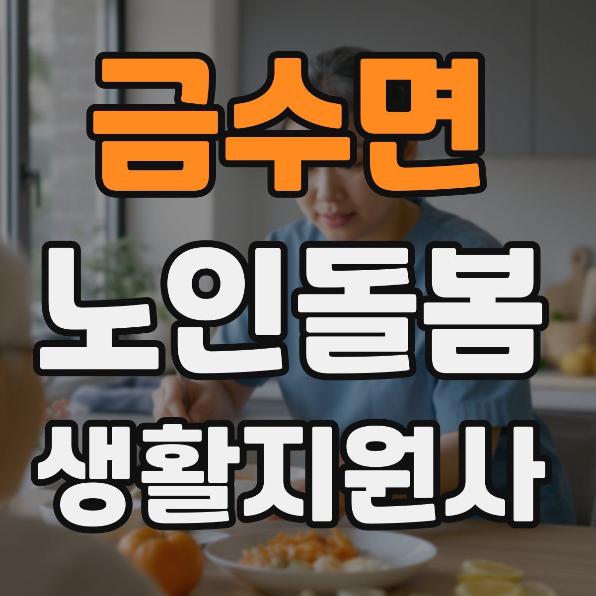 금수면 노인돌봄생활지원사 자격증